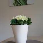 Sole Appartement Pruszcz Gdański