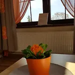 Sole * Pruszcz Gdański