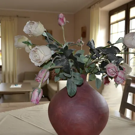 Apartamento Sole Pruszcz Gdański