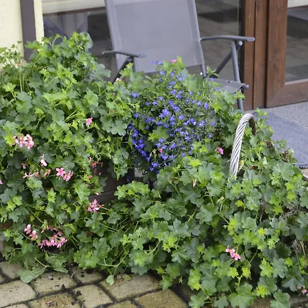Apartment Sole Pruszcz Gdanski