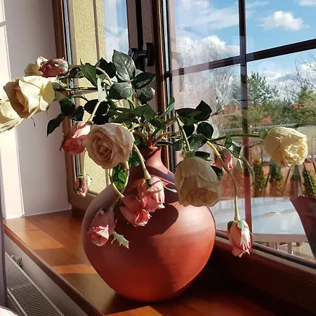 Sole Apartment *