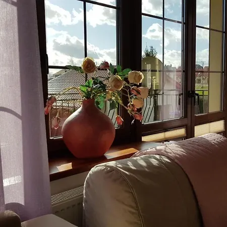 Sole Pruszcz Gdański