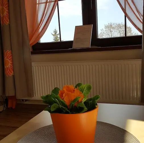 Sole * بروشت غداينسكي