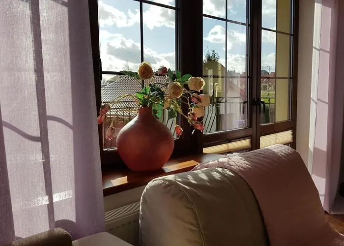 Sole بروشت غداينسكي