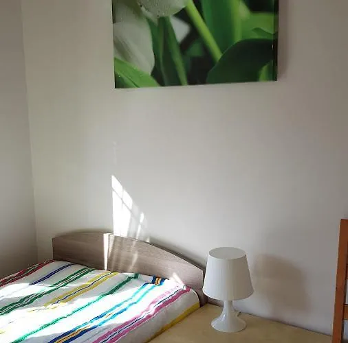 Sole بروشت غداينسكي